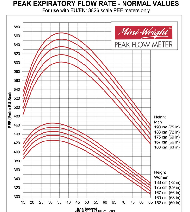 Mini Wright Peakflow meter